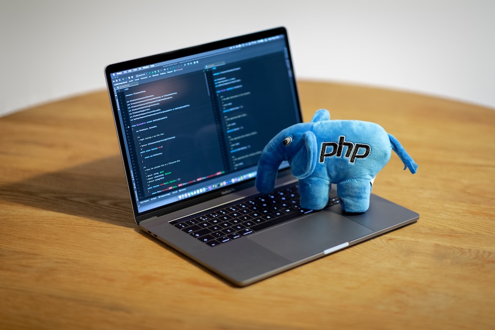 Image of PHP Club activity